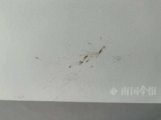 泡！业主崩溃：全屋都是无法接受爱游戏ayx网站婚房被粪水浸(图6)