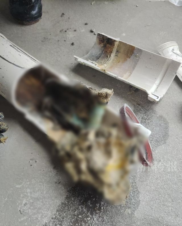 泡！业主崩溃：全屋都是无法接受爱游戏ayx网站婚房被粪水浸(图4)