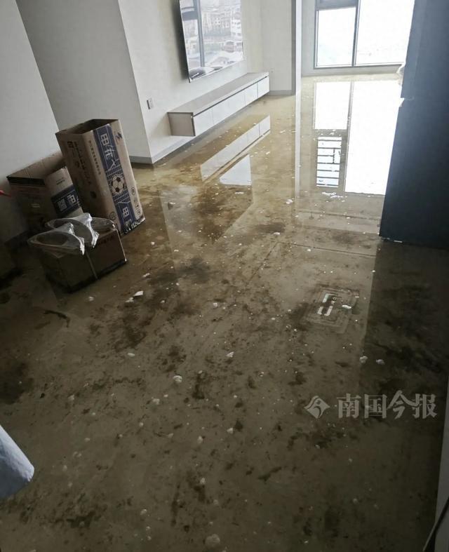 泡！业主崩溃：全屋都是无法接受爱游戏ayx网站婚房被粪水浸(图9)