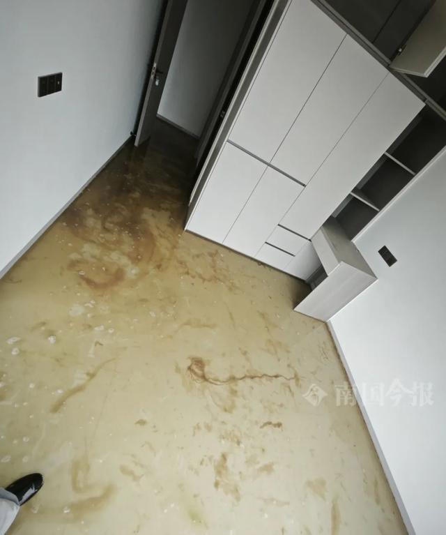 泡！业主崩溃：全屋都是无法接受爱游戏ayx网站婚房被粪水浸(图8)