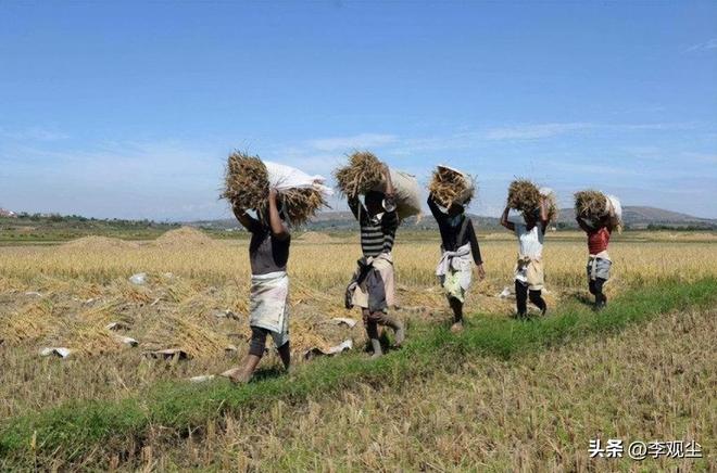 需求进入爆发期中国企业该如何抢市场？AYX爱游戏非洲暗藏55年红利！市场(图8)